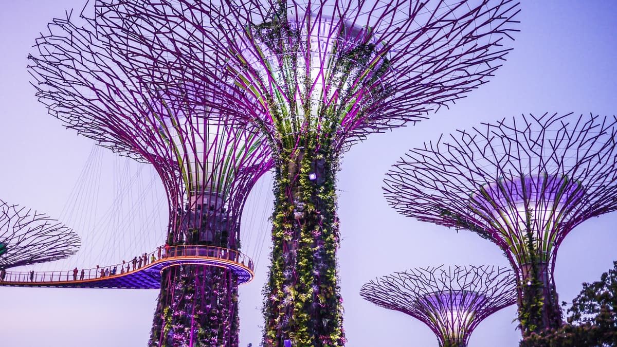 COMBO: Singapore Cable Car + Gardens by the Bay Ticket