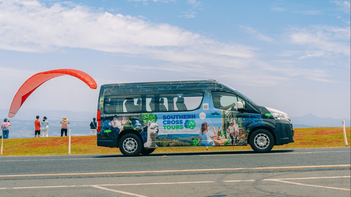 Kangaroos and Koalas Tour with Morning Tea from Gold Coast
