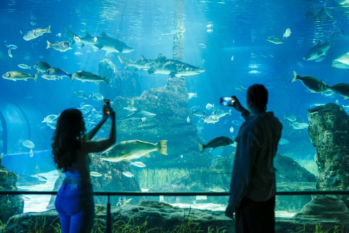 Barcelona Aquarium Ticket