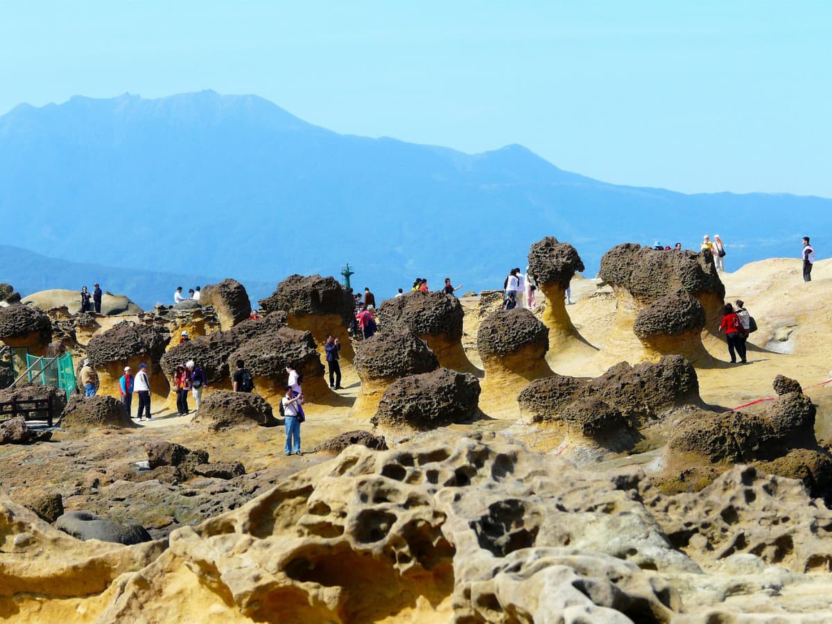 COMBO: Taipei 101 Observatory + Yehliu Geopark
