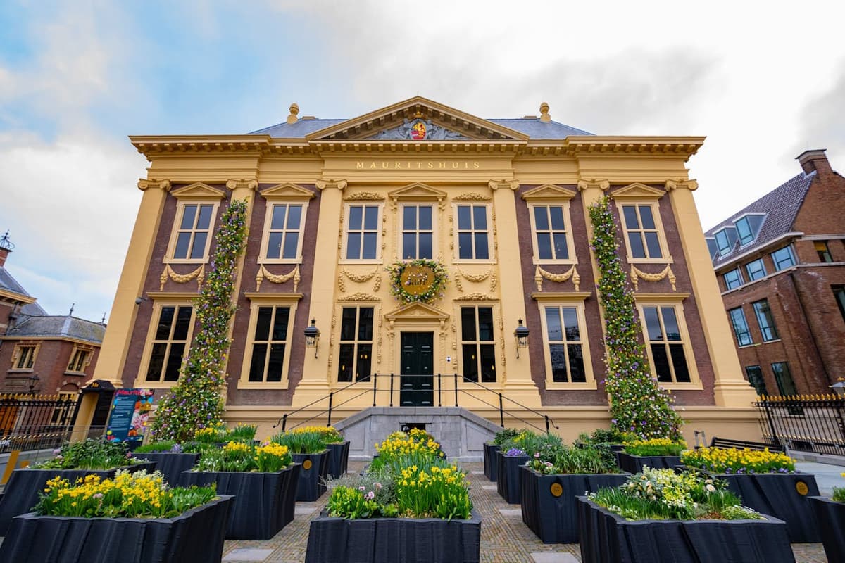 The Mauritshuis Museum Ticket