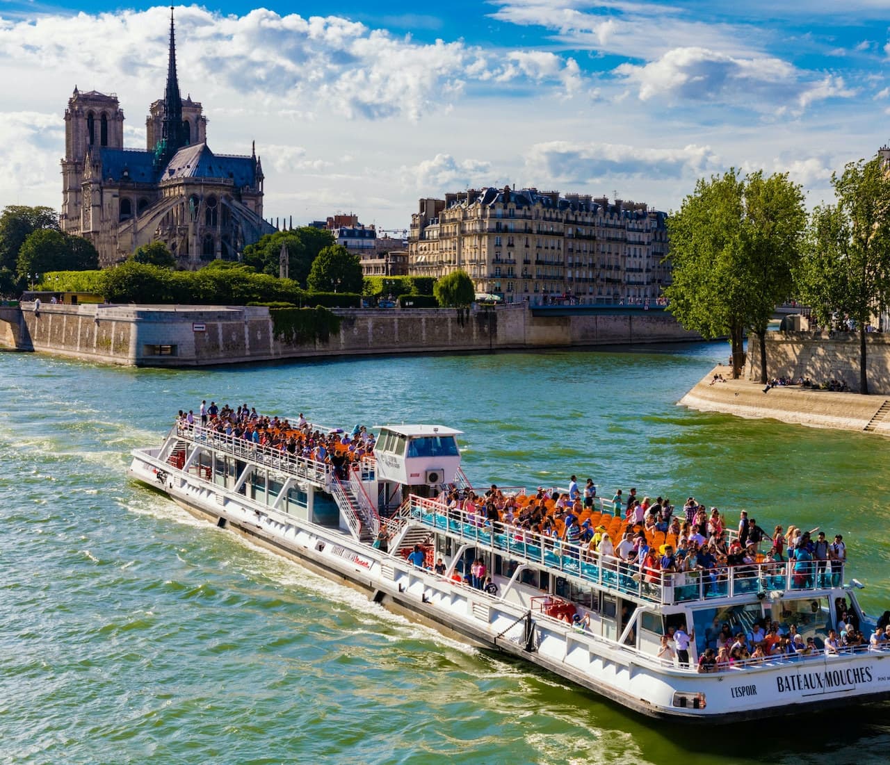 Seine River Sightseeing Cruise by Bateaux Mouches