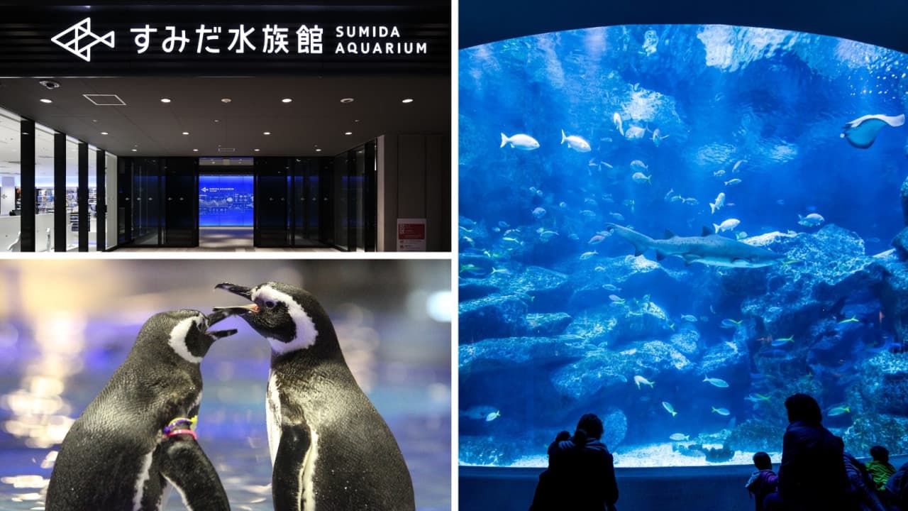 Have Fun in Tokyo Pass - 1 Week Free Pass