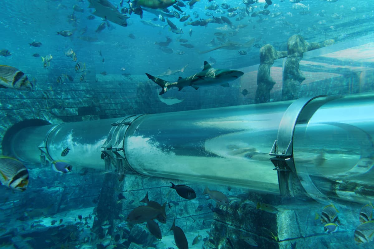 Atlantis Dubai Ticket