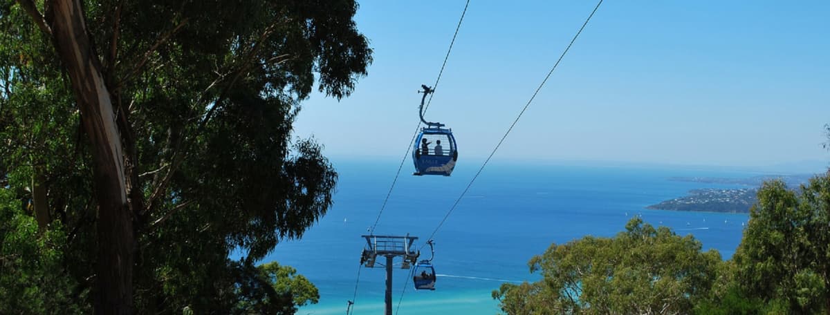 Mornington Peninsula Tour with Cruise