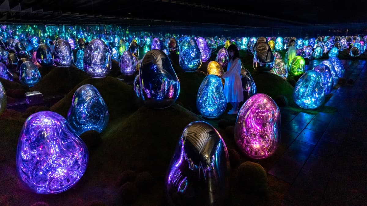 teamLab Planets TOKYO Ticket