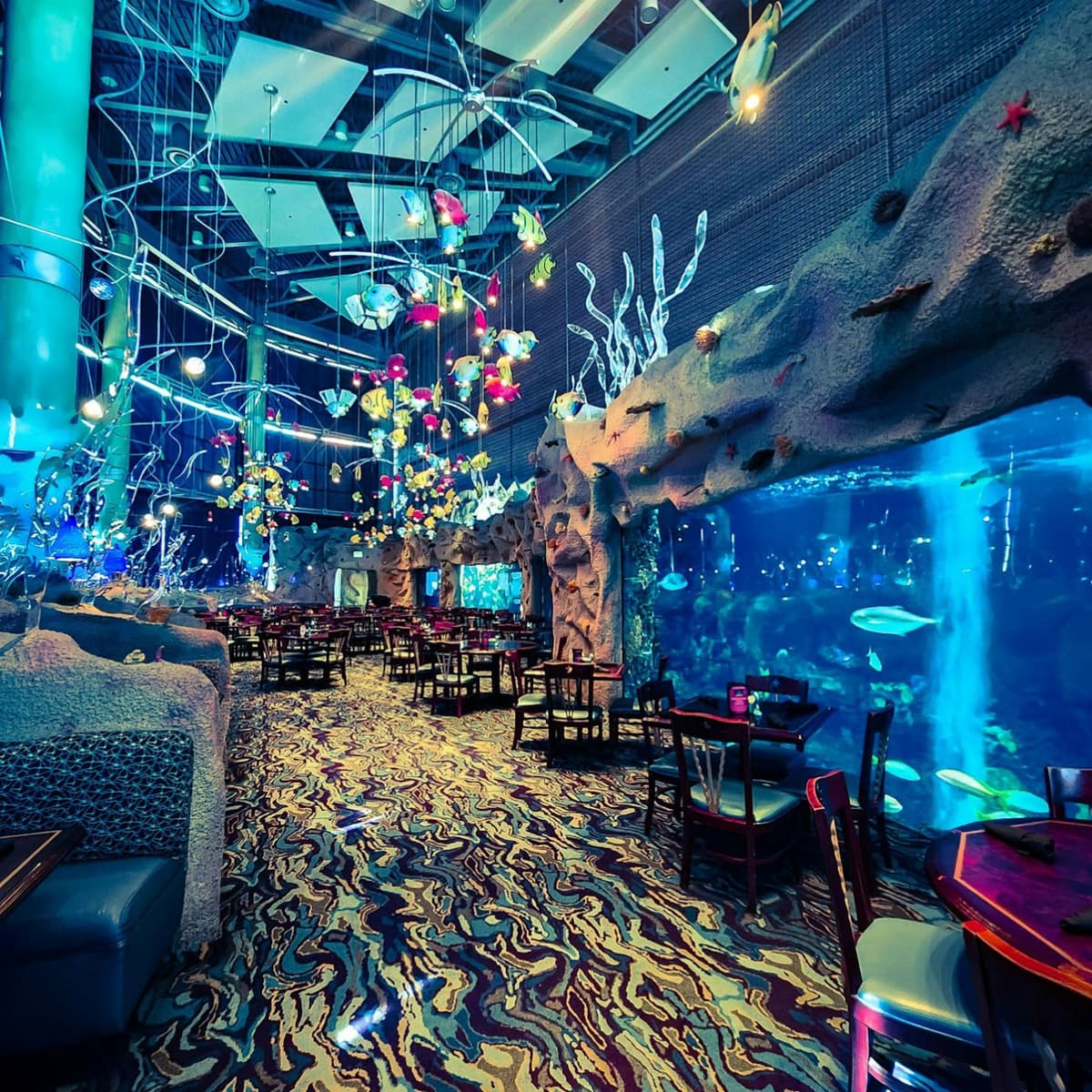 Downtown Aquarium Denver Ticket