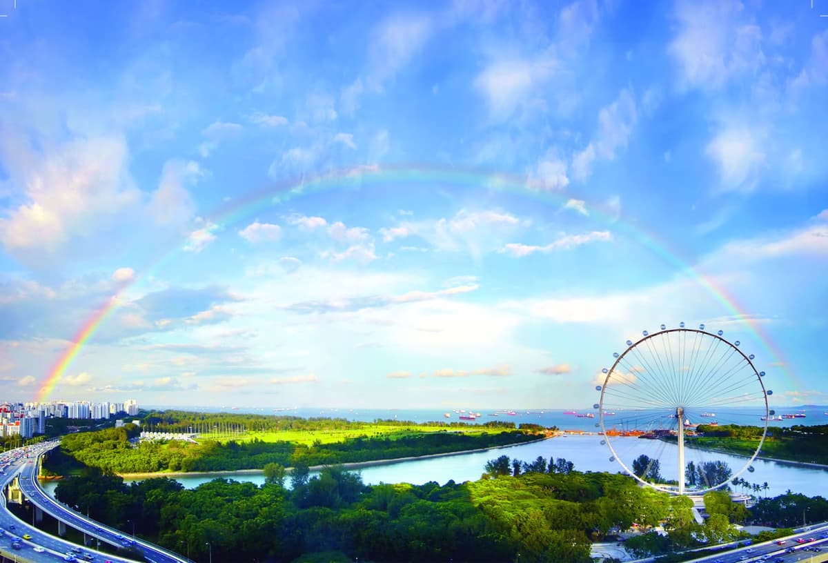 COMBO: Singapore Flyer + Gardens by the Bay Ticket