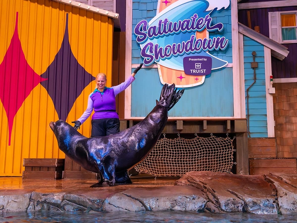Georgia Aquarium: Fast Track Ticket