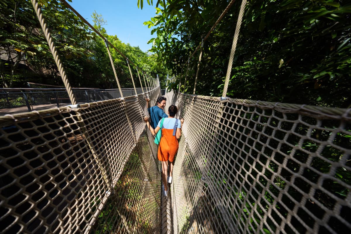 Rainforest Wild Adventure Ticket