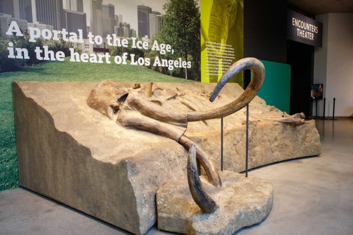 La Brea Tar Pits Museum