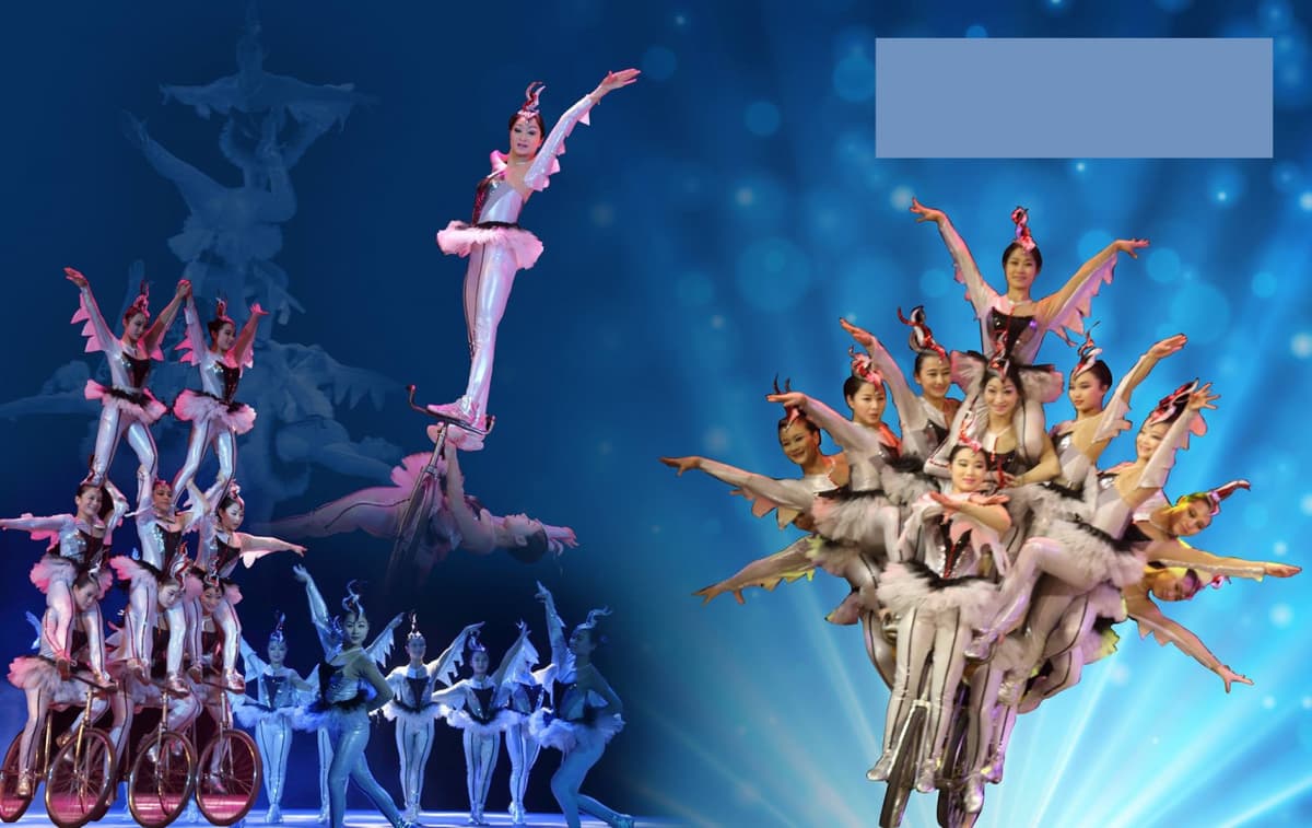 Acrobatic Show with Two-way Transfers