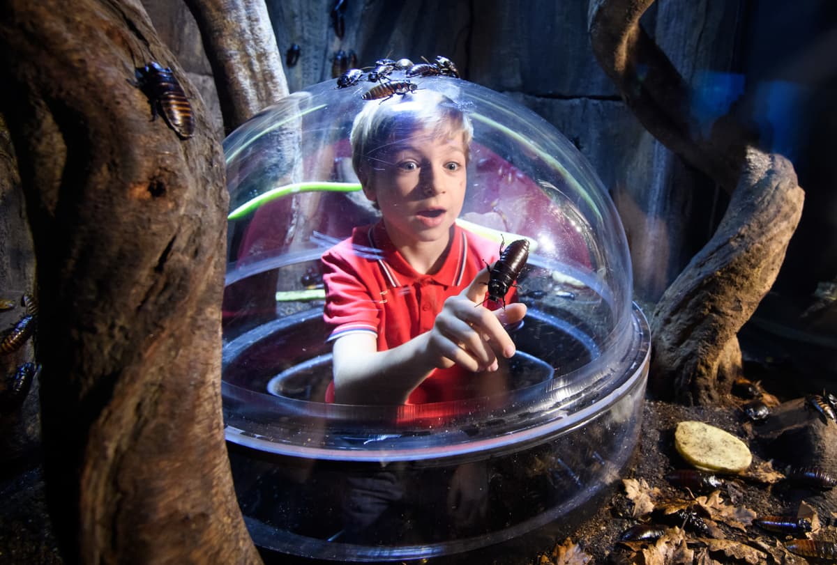 SEA LIFE London Aquarium Ticket