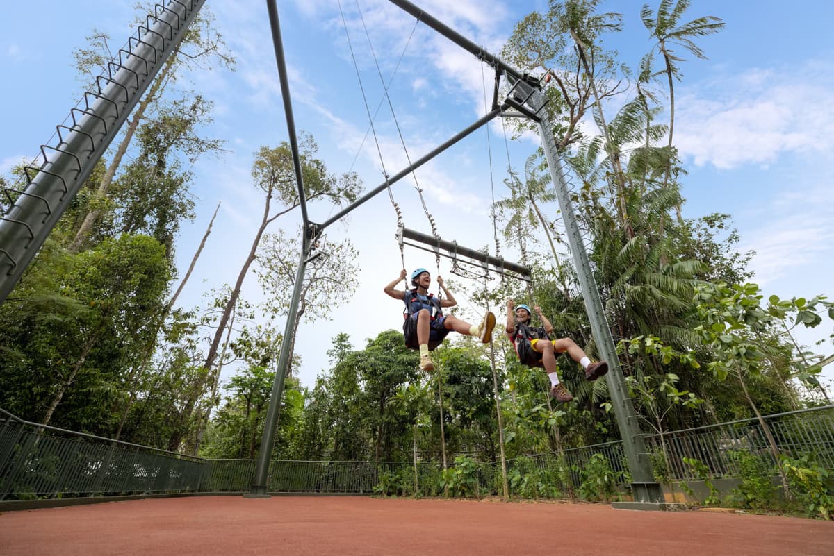 Rainforest Wild Adventure Ticket