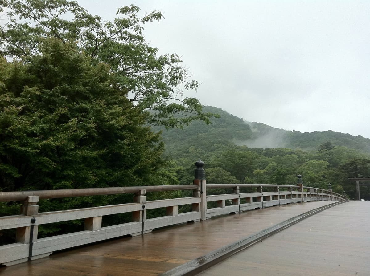 Uji Walking Tour and Tea Ceremony Experience from Kyoto