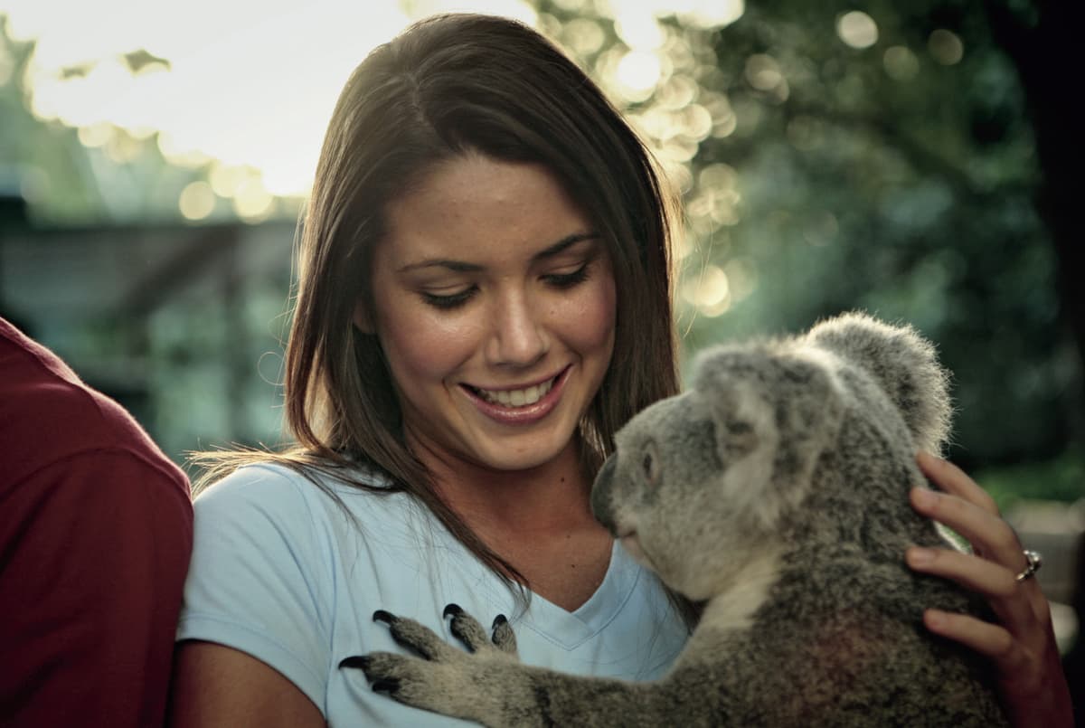 Currumbin Wildlife Sanctuary Ticket