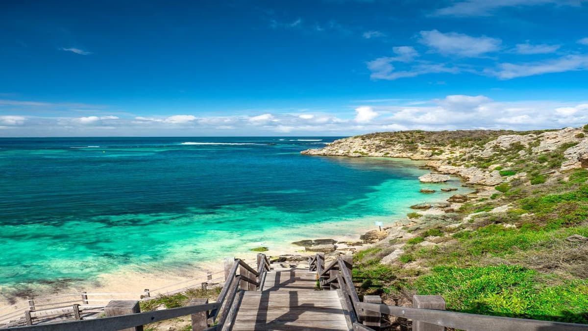 Rottnest Island Bus Tour with Round Trip Rottnest Express Ferry Transfer