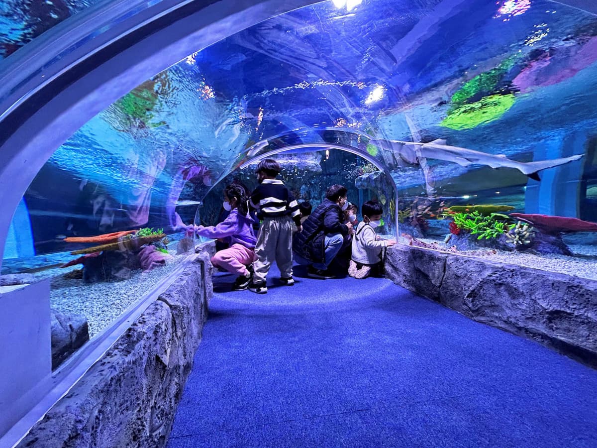 SEA LIFE Busan Aquarium Ticket
