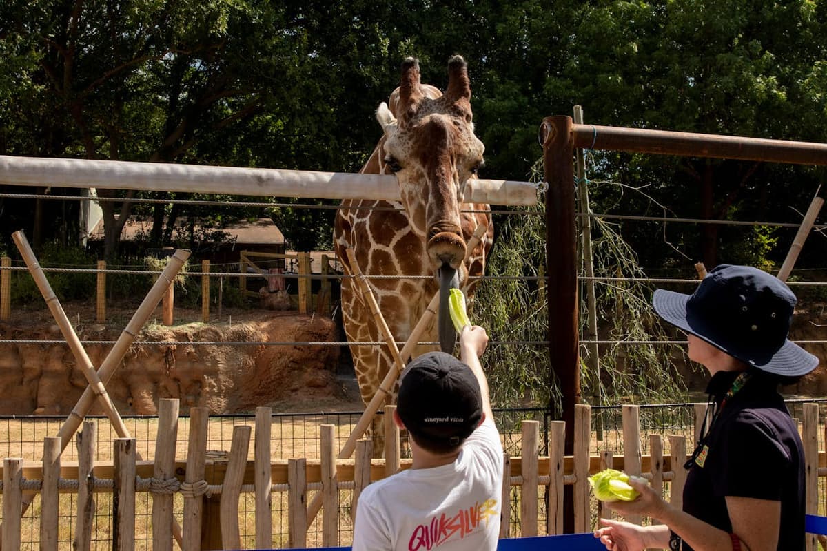 Zoo Atlanta Entry Ticket