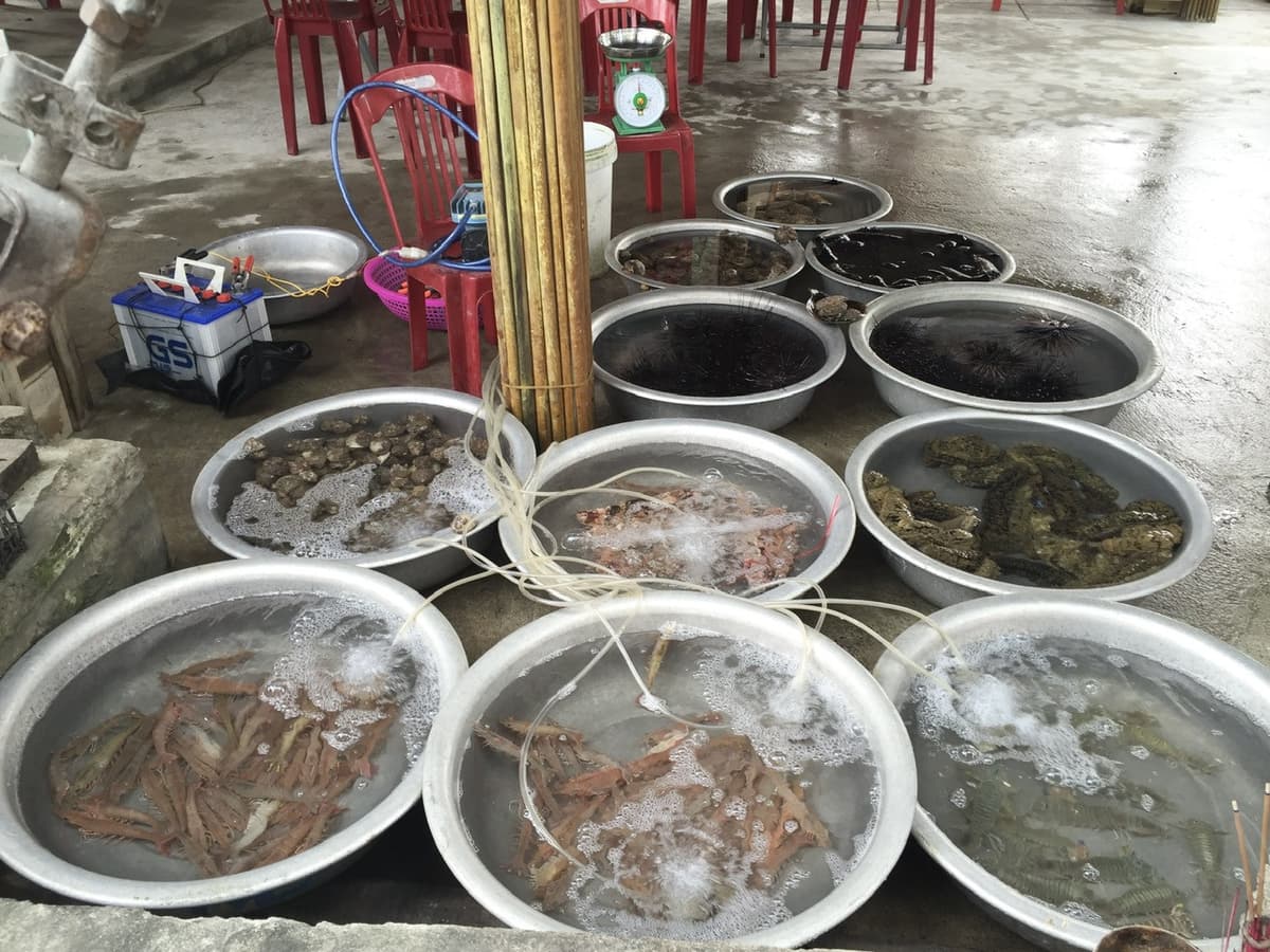 Cham Island Tour from Da Nang