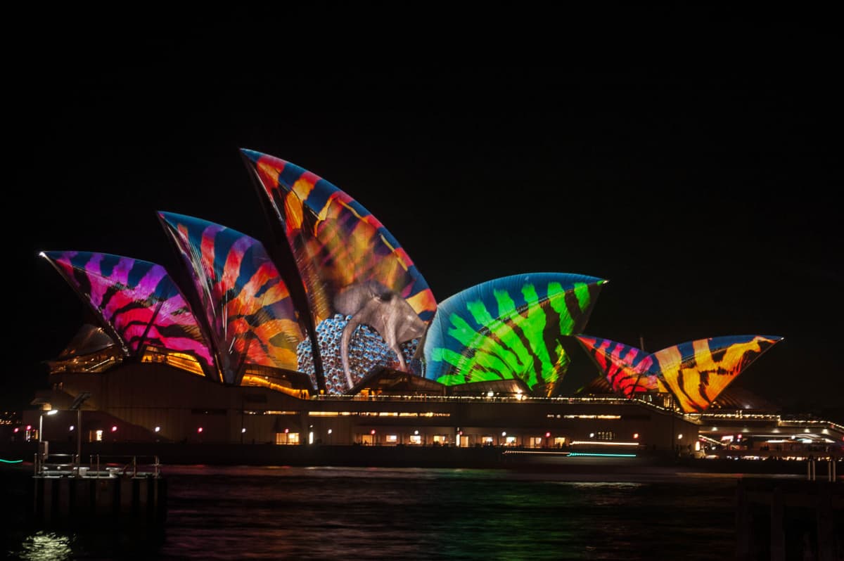 Vivid Festival of Light and Sound Cruise with Buffet Dinner aboard Sydney Princess Cruises