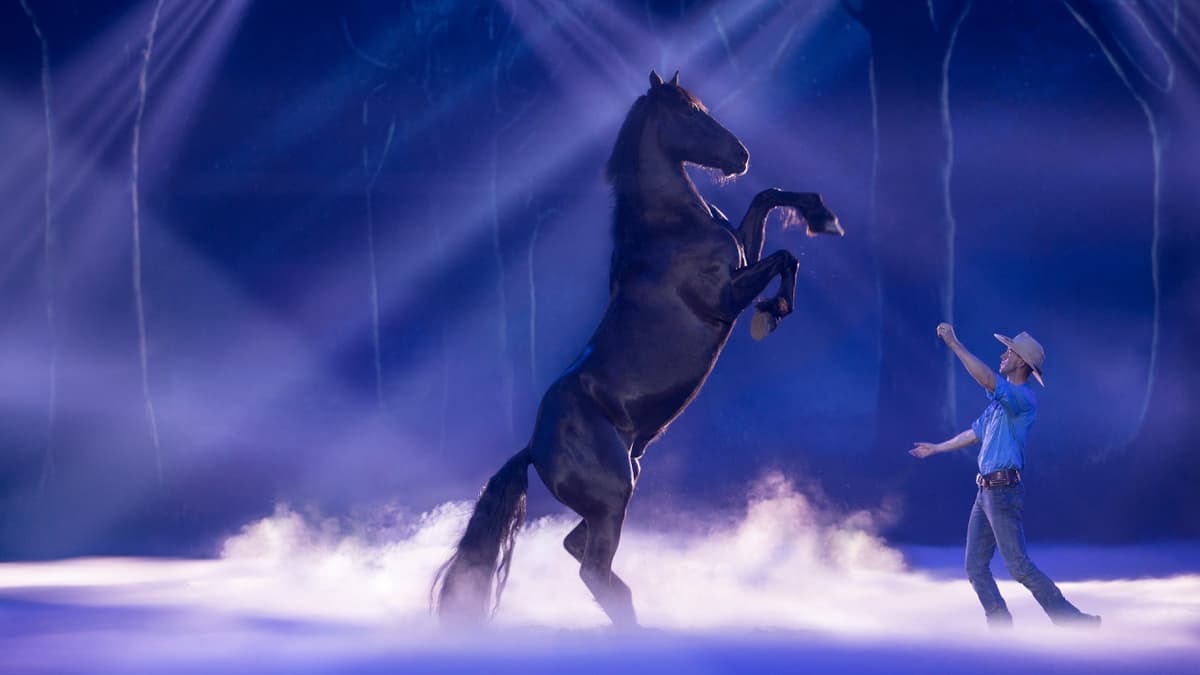 Australian Outback Spectacular Dinner Show Ticket