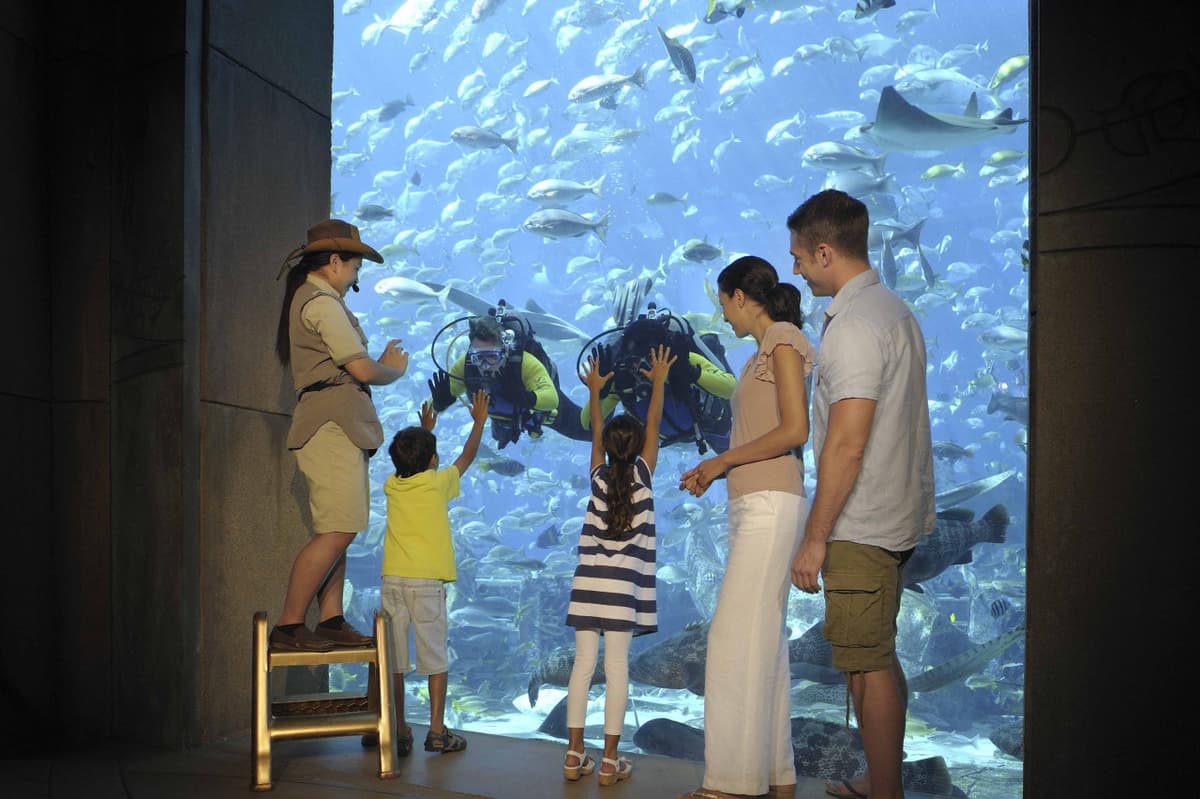 Atlantis Aquaventure World Dubai - The Lost World Aquarium Ticket