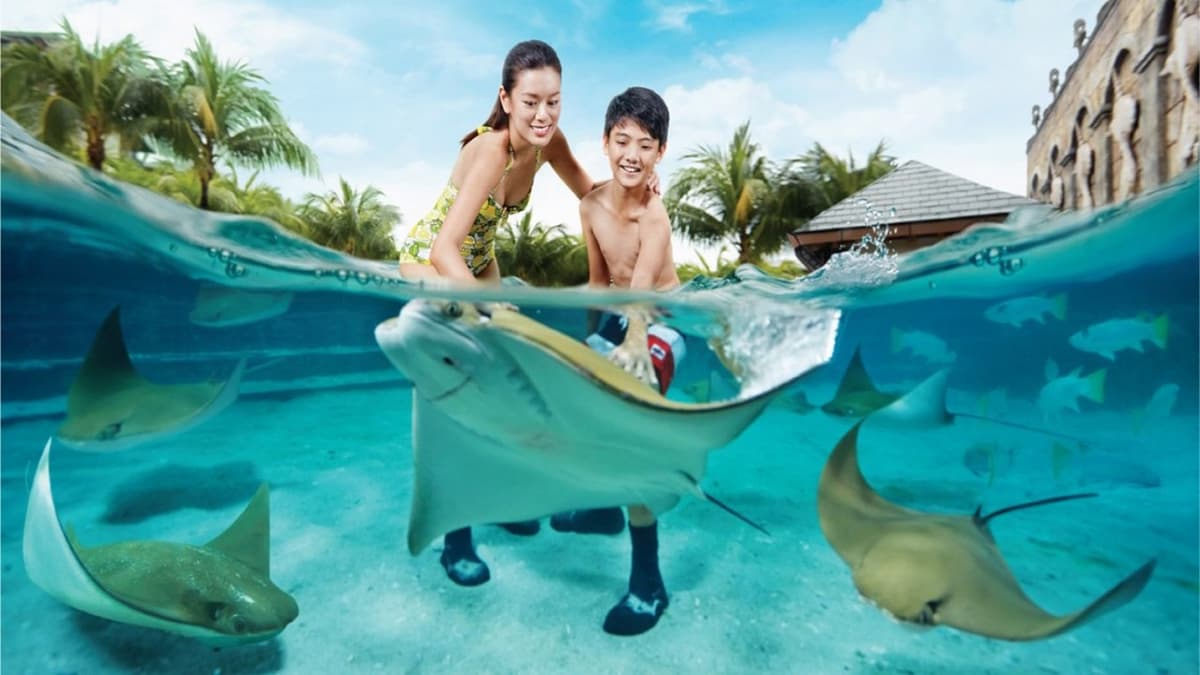 Ultimate Marine Life Experience at Adventure Cove Waterpark