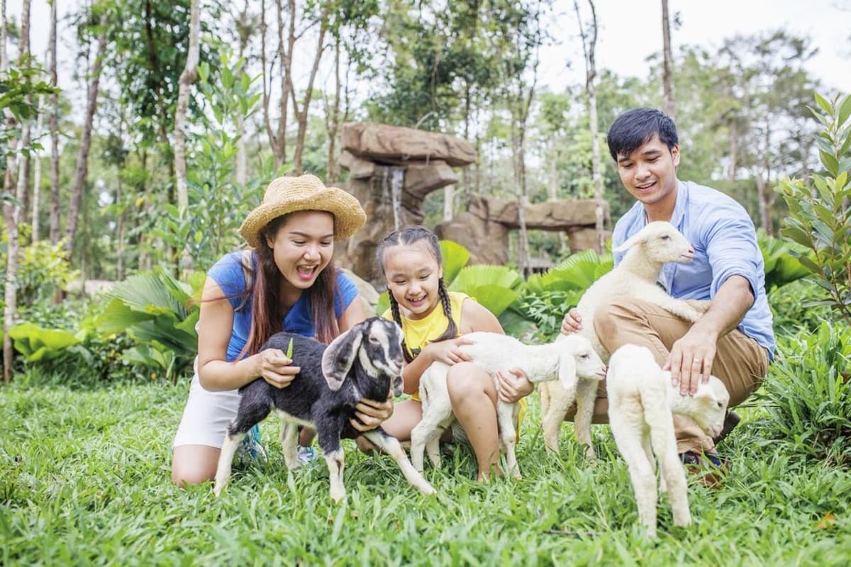 Vinpearl Safari Phu Quoc Ticket