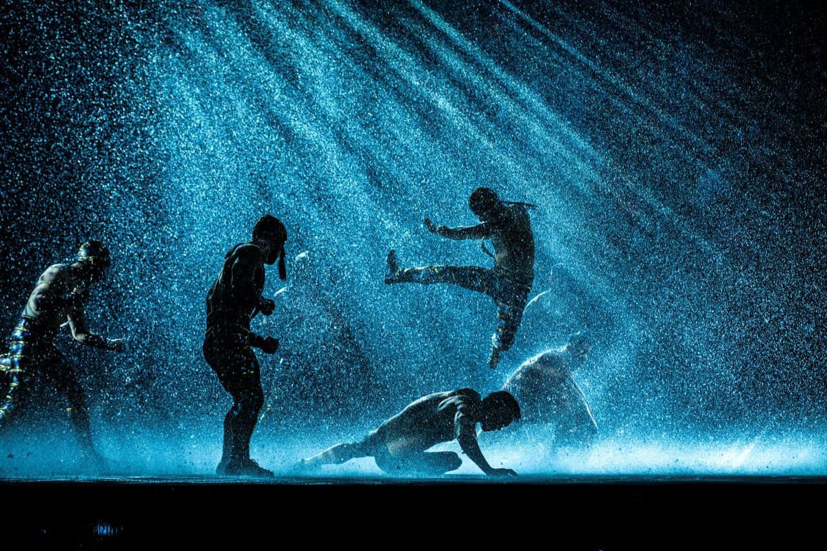 House of Dancing Water Show Ticket