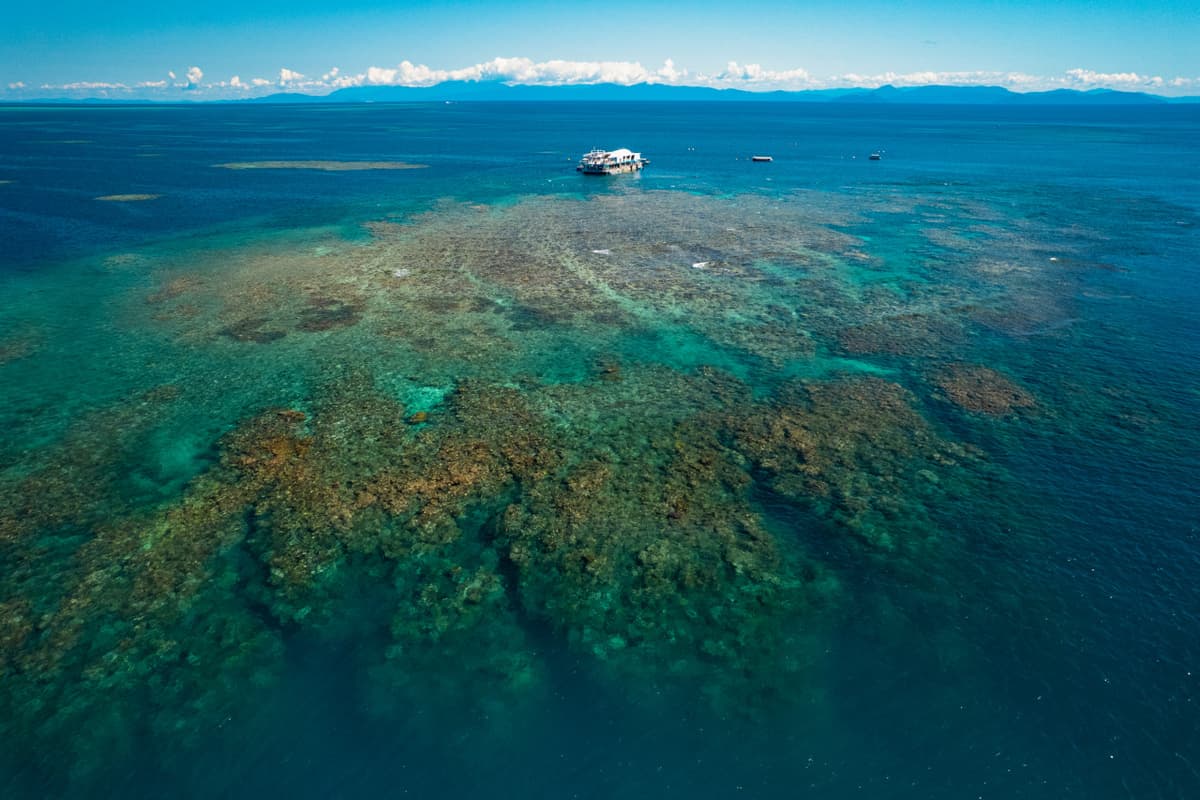 Reef Magic Pontoon Tour from Cairns