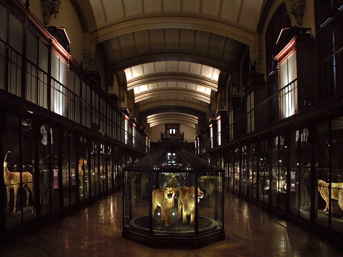 Grande Galerie de l'Évolution: Skip The Line
