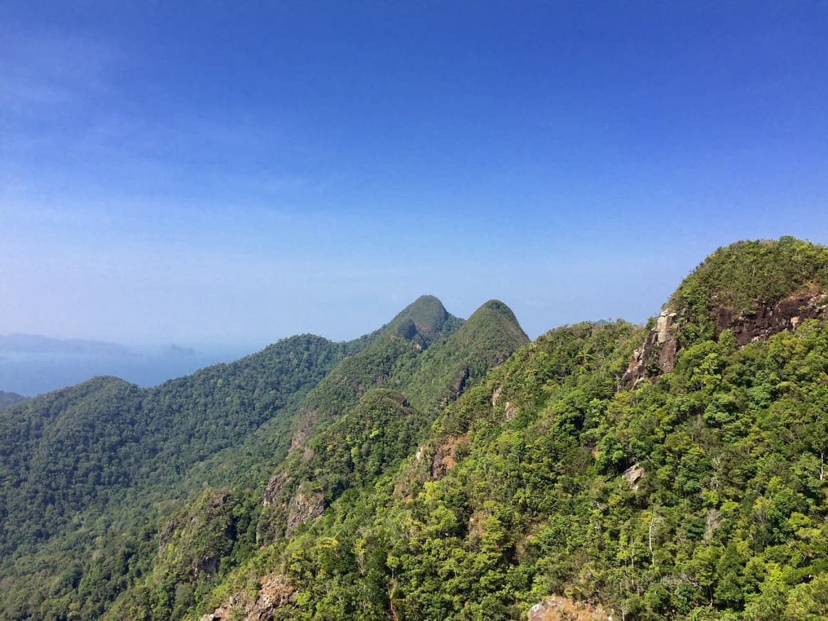 Langkawi Birdwatching Experience with Round Trip Transfer