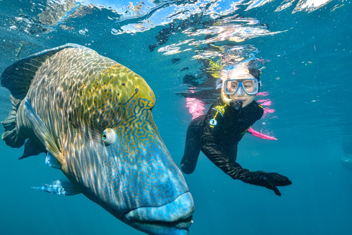 Reef Magic Pontoon Tour from Cairns