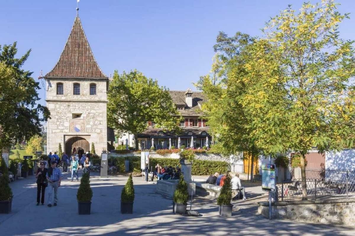 Rhine Falls Tour from Zurich