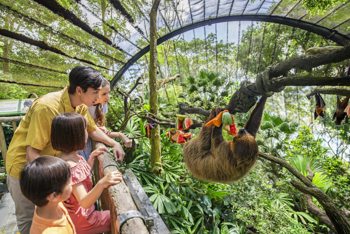 5-in-1 Day Pass: Night Safari + Singapore Zoo + Bird Paradise + River Wonders + Rainforest Asia