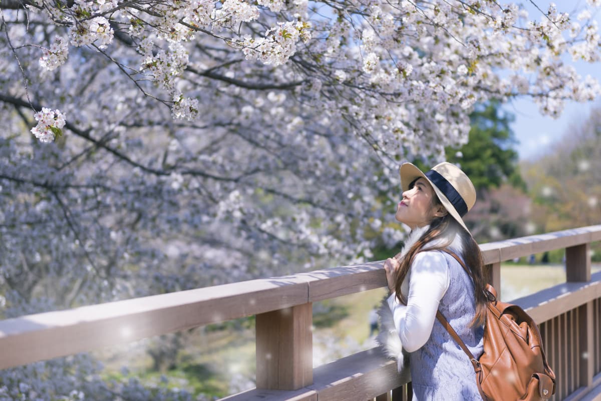 Professional Photo Shoot in Kyoto