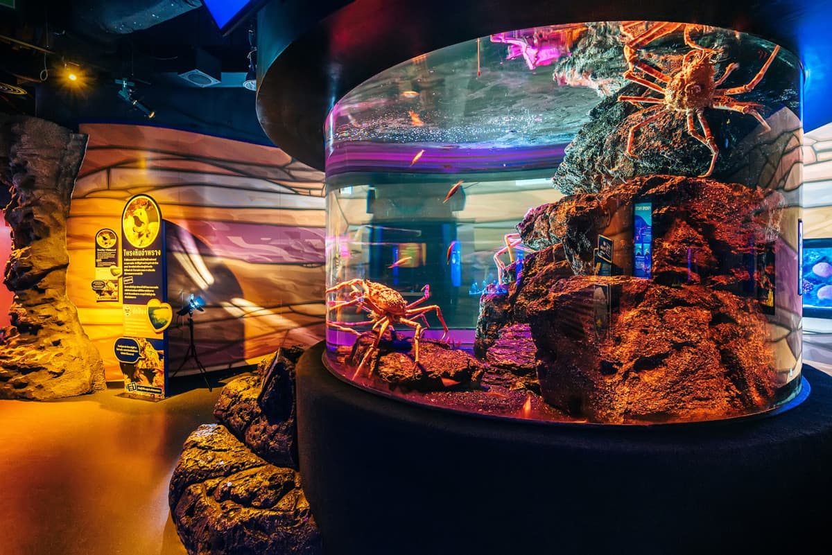 SEA LIFE Bangkok Ocean World Ticket