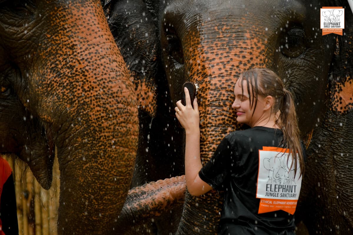 Elephant Jungle Sanctuary Phuket