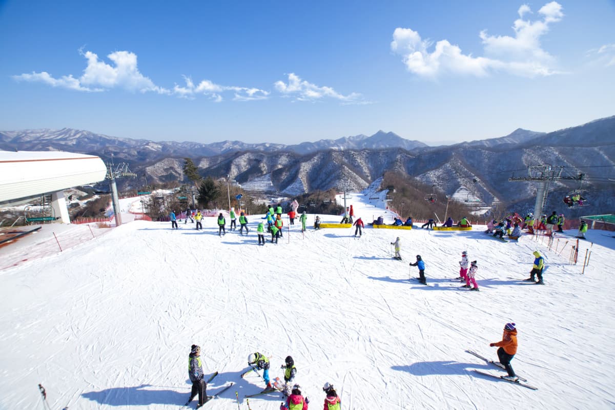 Elysian Gangchon Ski Resort and Nami Island Full-Day Tour from Seoul