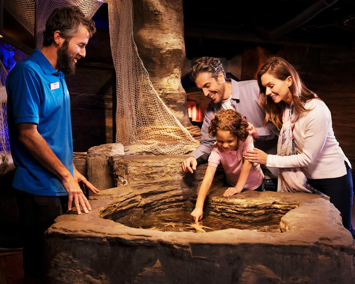 SEA LIFE London Aquarium Ticket