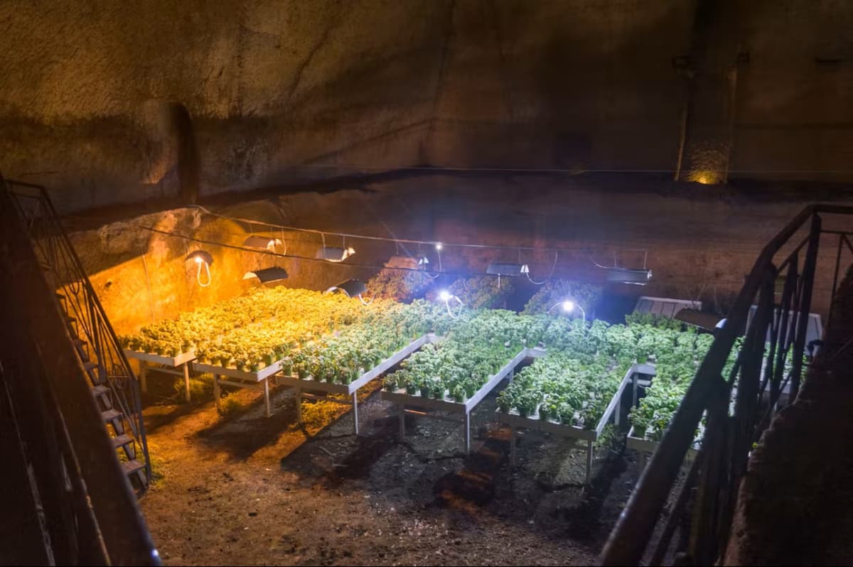 Naples Underground Guided Tour