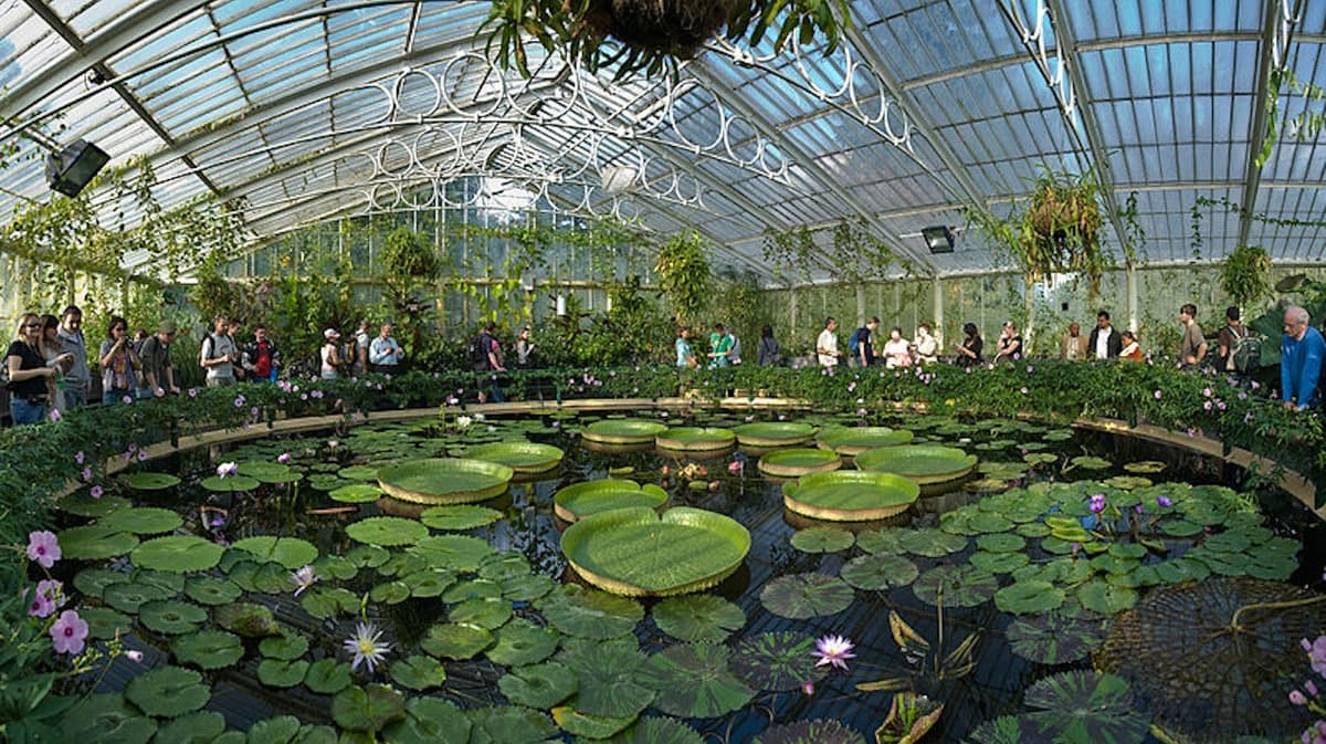 Kew Gardens