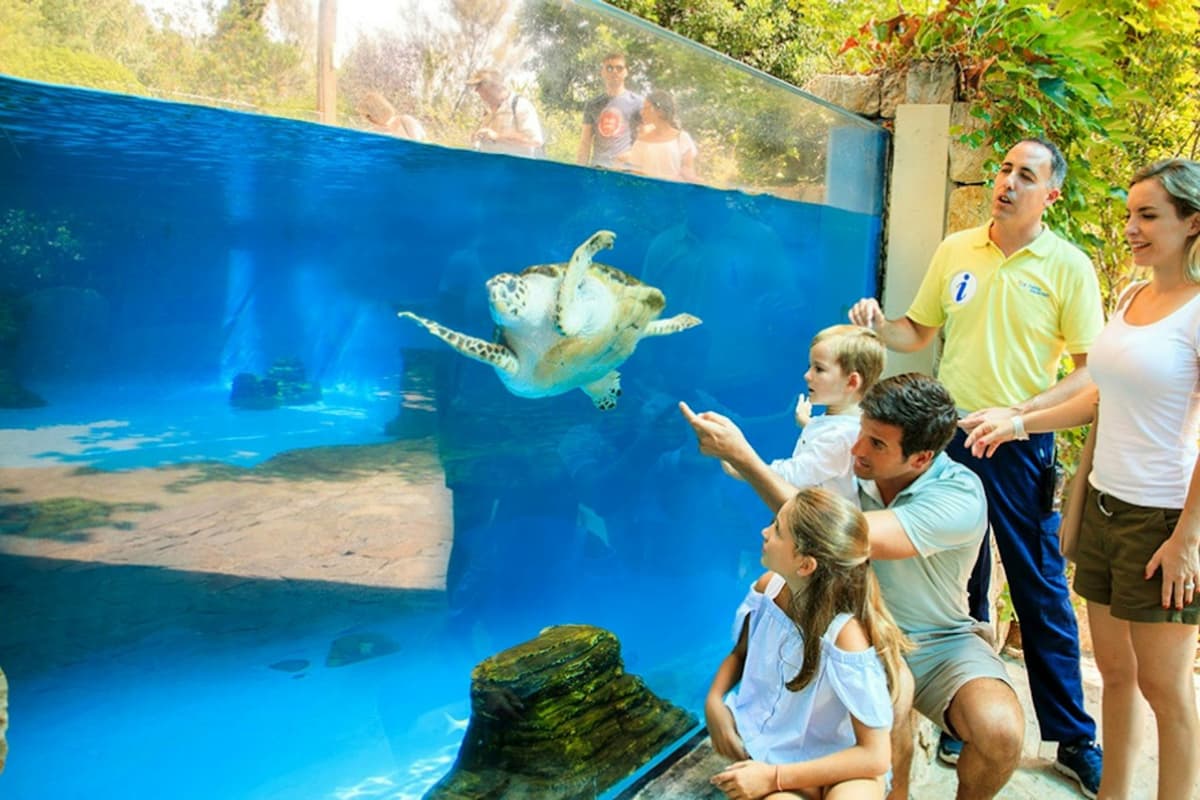 Palma Aquarium: Skip The Line Ticket + Optional 3D Cinema Aquadome