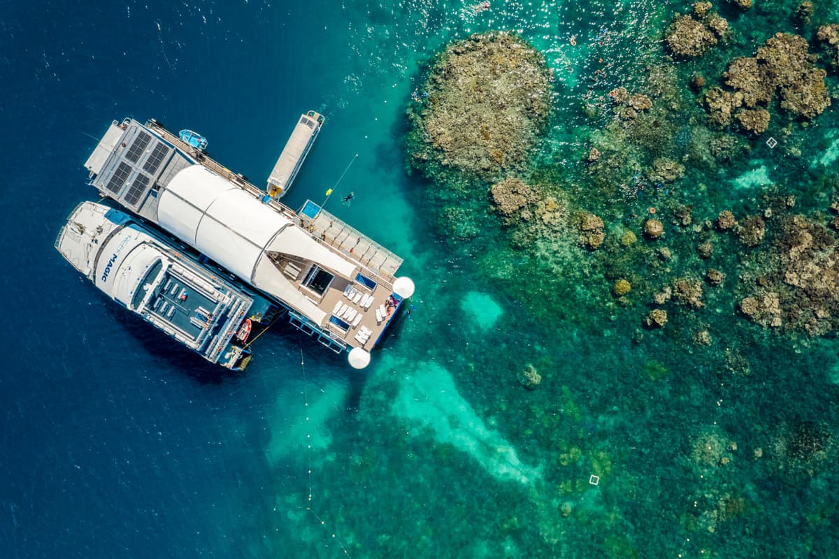 Reef Magic Pontoon Tour from Cairns