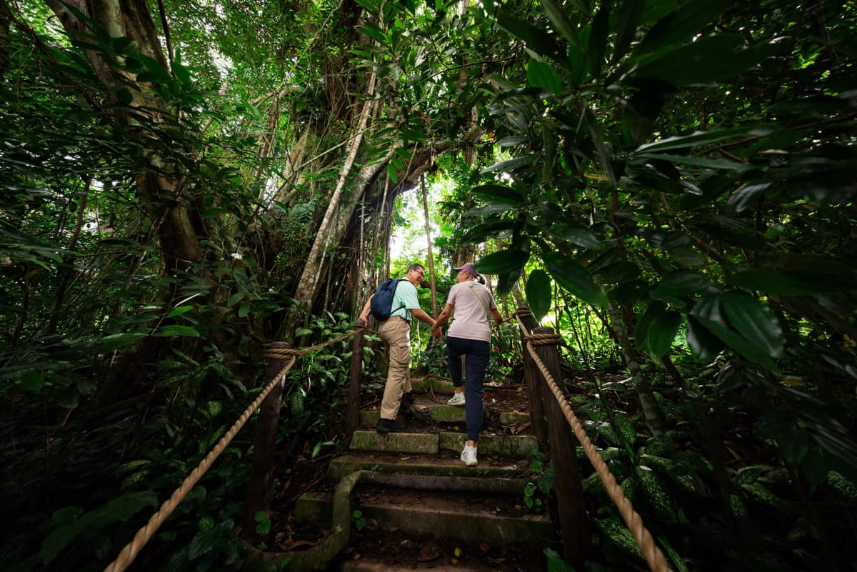 Rainforest Wild Adventure Ticket