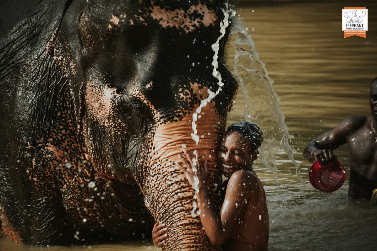 Elephant Jungle Sanctuary Phuket