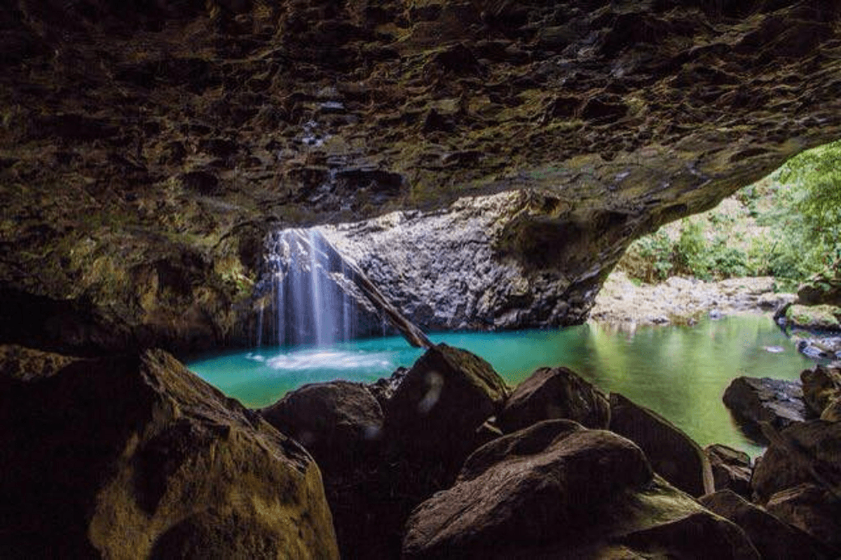 Springbrook National Park Night Tour