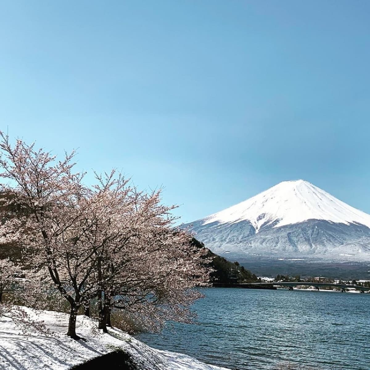 Mt Fuji, Oshino Hakkai and Gotemba Outlets 1-Day Bus Tour