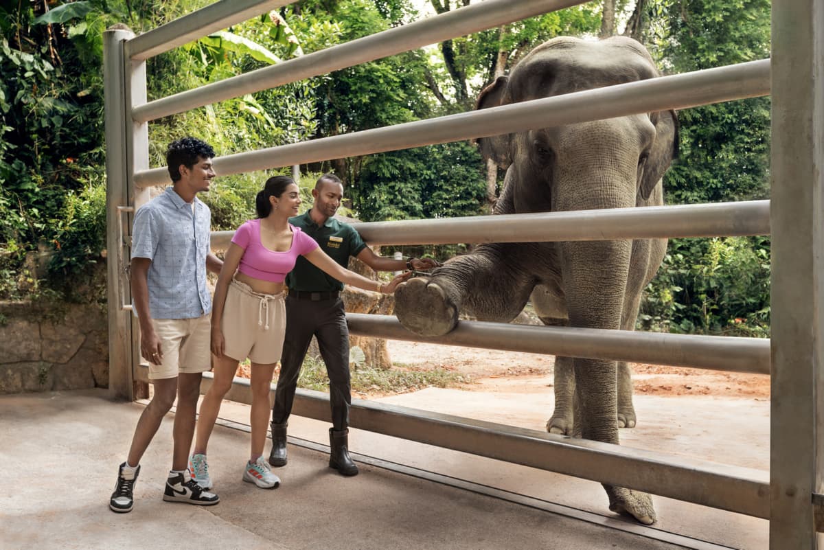 Singapore Zoo Ticket